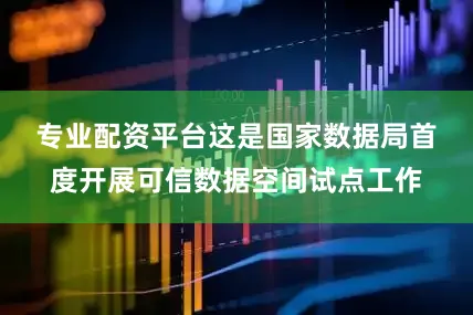 专业配资平台　　这是国家数据局首度开展可信数据空间试点工作