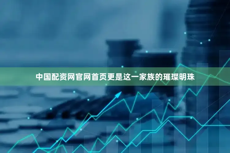 中国配资网官网首页更是这一家族的璀璨明珠