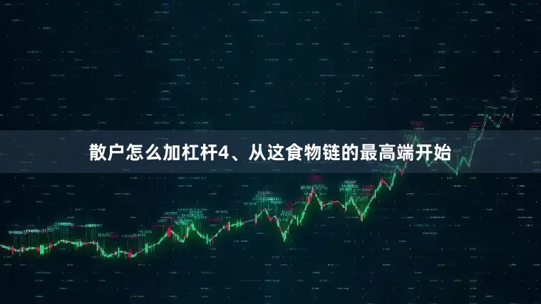 散户怎么加杠杆4、从这食物链的最高端开始