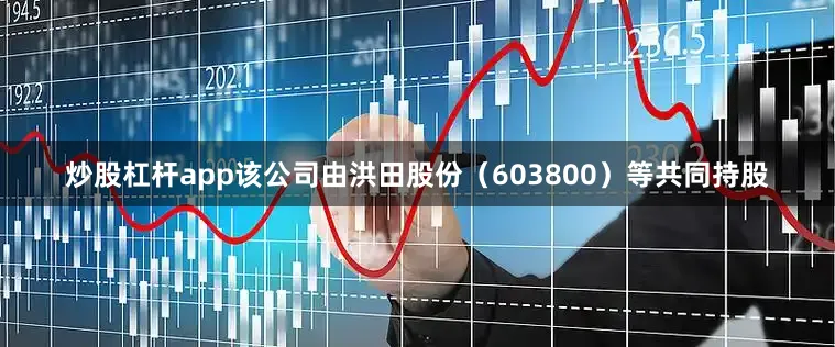 炒股杠杆app该公司由洪田股份（603800）等共同持股